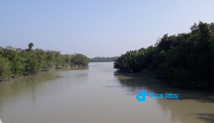 সুন্দরবনের একটি মনোমুগ্ধকর প্রাকৃতিক দৃশ্য 2