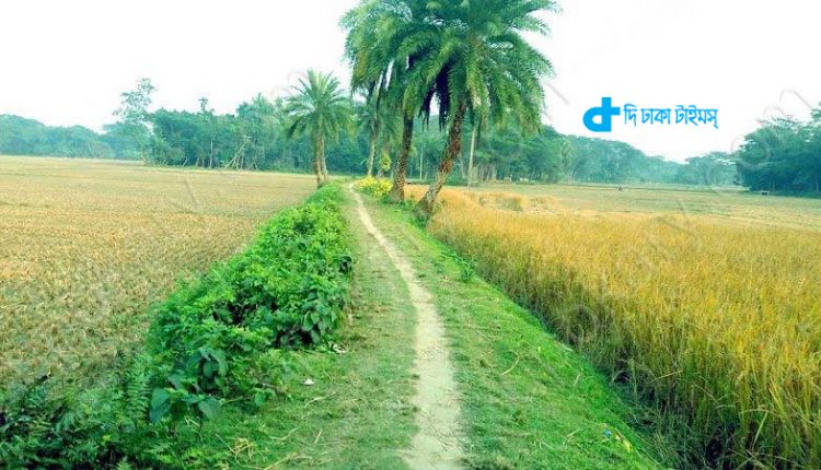 বাংলাদেশের প্রকৃত রূপ 1