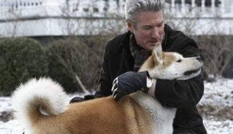 বন্ধু ফিরবেই এমন অপেক্ষায় মাসের পর মাস হিমঘরের বাইরে দাঁড়িয়ে থাকে পোষ্য! 1 বন্ধু ফিরবেই এমন অপেক্ষায় মাসের পর মাস হিমঘরের বাইরে দাঁড়িয়ে থাকে পোষ্য! 1