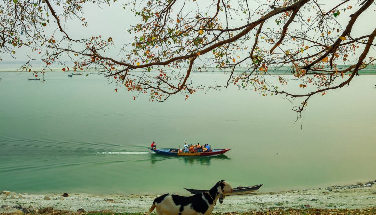 যাকে বলে হৃদয় কাড়া দৃশ্য 1