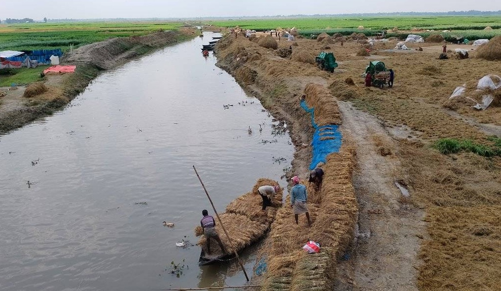 খালের ধারে ধান মাড়ানো ও তার ব্যবস্থাপনা 4
