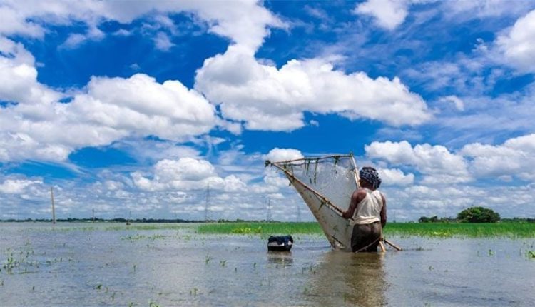 গ্রাম-বাংলার এক নয়নাভিরাম প্রাকৃতিক সৌন্দর্য 1