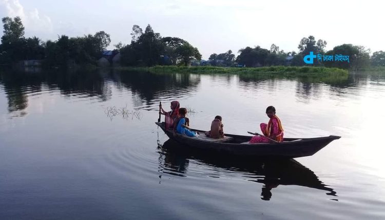 গ্রামের মহিলাদের নৌকা চালানোর এক অনবদ্য দৃশ্য 1