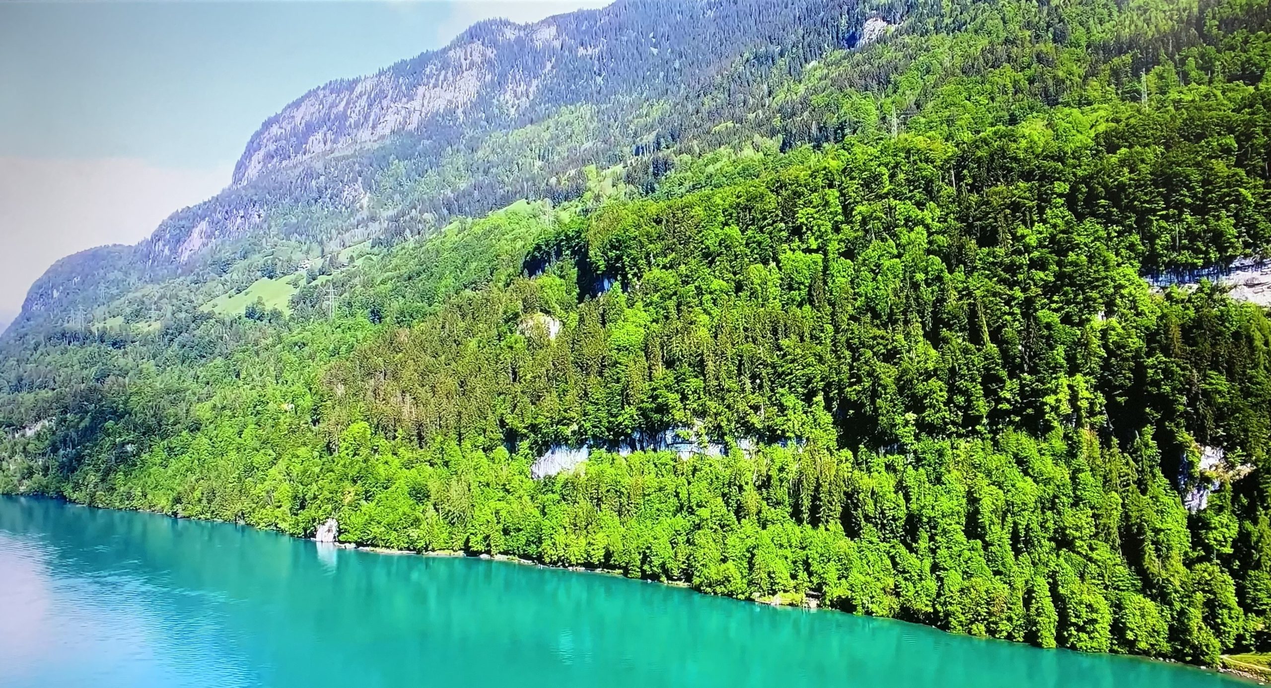 সুইজারল্যান্ডের এক সবুজ পাহাড় 7