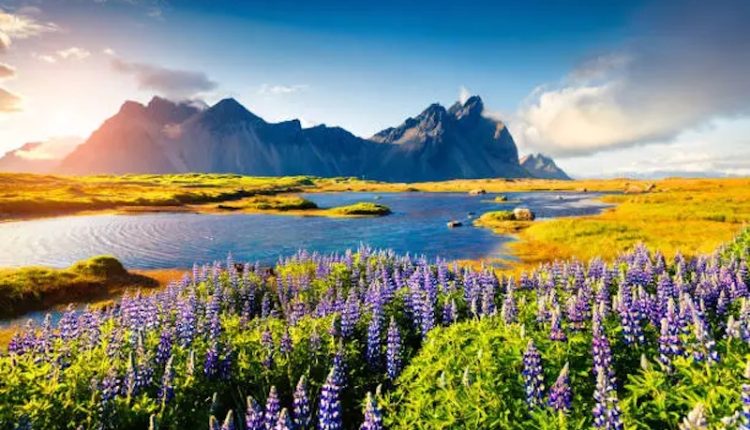 পাহাড়-পর্বত আমাদের হৃদয়কে তাড়িত করে 1 পাহাড়-পর্বত আমাদের হৃদয়কে তাড়িত করে 1