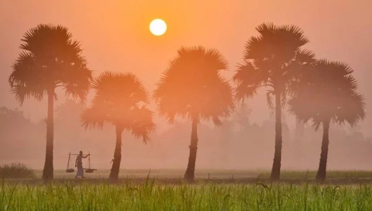 সুন্দর এক শীতের সকাল 1