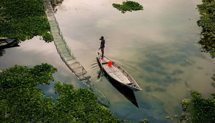 গ্রামের মানুষরা নদীতে নৌকা নিয়ে জাল পেতে মাছ ধরে 1