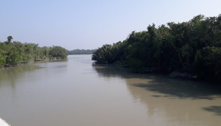 সুন্দরবনের এক অন্যরকম প্রাকৃতিক পরিবেশ 2