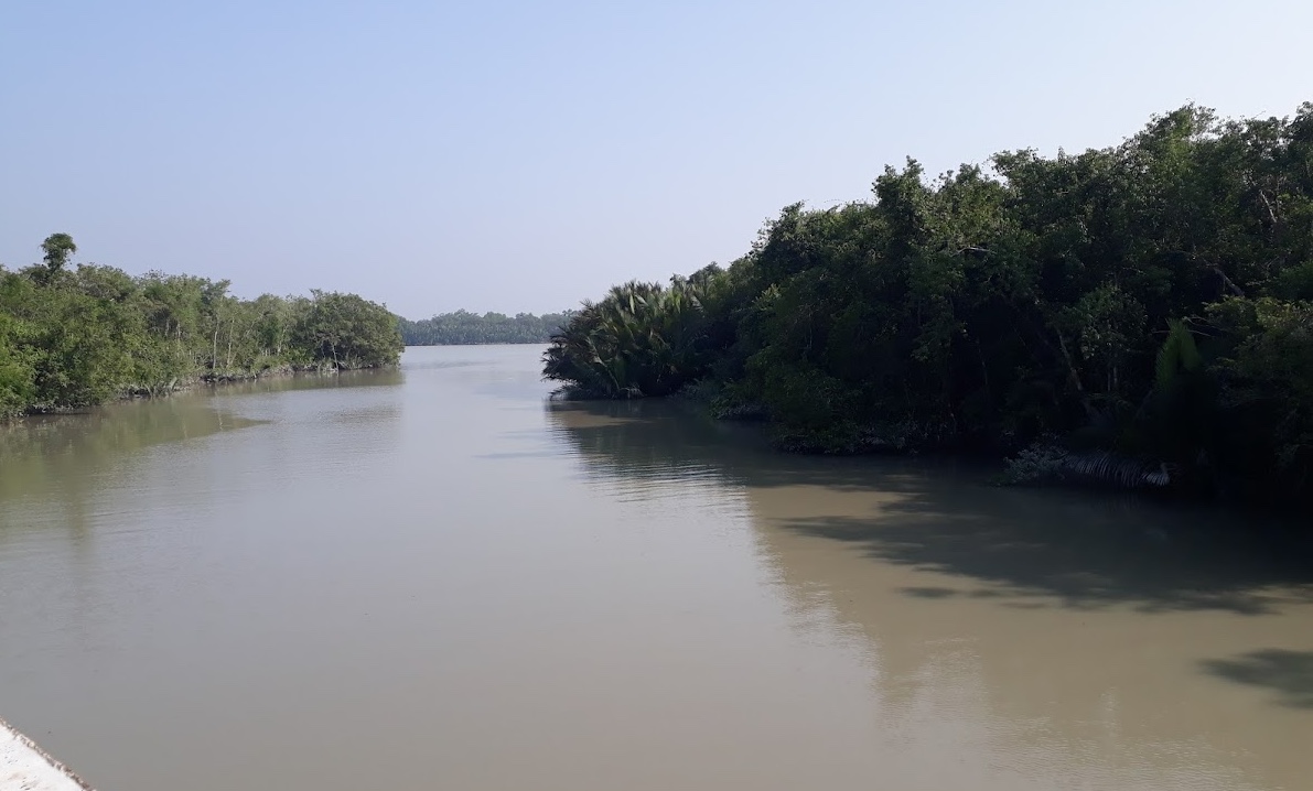 সুন্দরবনের এক অন্যরকম প্রাকৃতিক পরিবেশ 1
