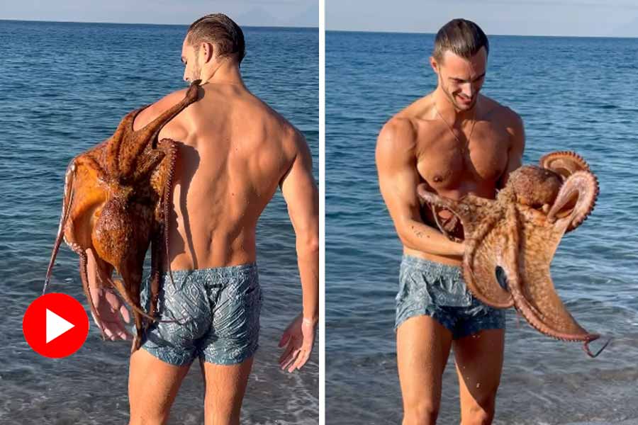 সমুদ্রে গোসল করতে গিয়ে ঘটলো বিপদ! মডেলের পা জড়িয়ে ধরলো এক অক্টোপাস! 28