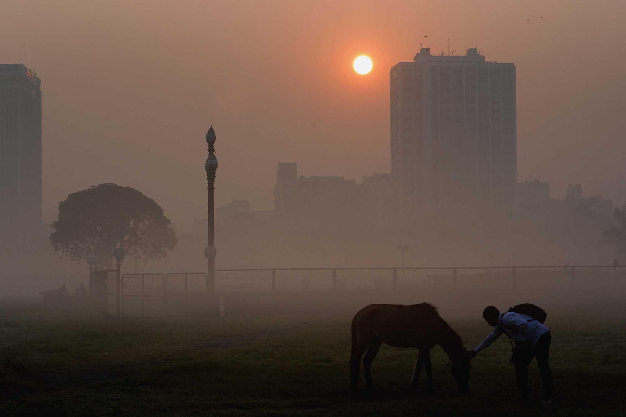 কুয়াশাচ্ছন্ন এক শীতের সকাল 7