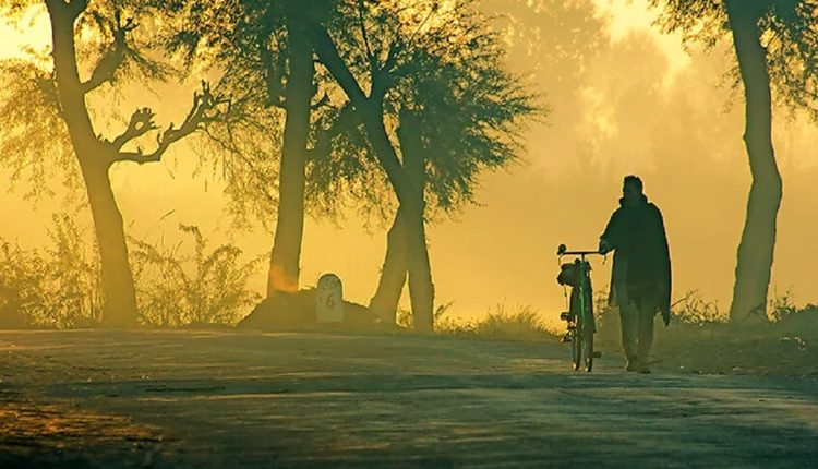 শীতের সকালে গ্রামের প্রকৃত চিত্র 1 শীতের সকালে গ্রামের প্রকৃত চিত্র 1