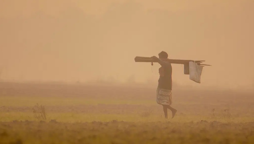 কুয়াশাচ্ছন্ন হাড় কাঁপানো শীত ও কৃষক 1