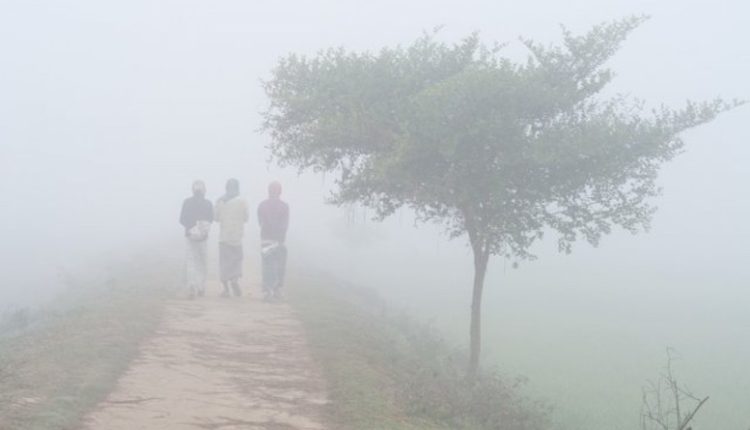 কুয়াশাচ্ছন্ন শীতের সকাল 1