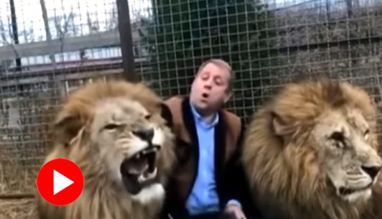 এক ঘায়ে হয়ে গেলো ঠাণ্ডা! অবাধ্য পশুরাজদের এক পাটি জুতা দিয়েই ‘শিক্ষা’ যুবকের! 1 এক ঘায়ে হয়ে গেলো ঠাণ্ডা! অবাধ্য পশুরাজদের এক পাটি জুতা দিয়েই ‘শিক্ষা’ যুবকের! 1