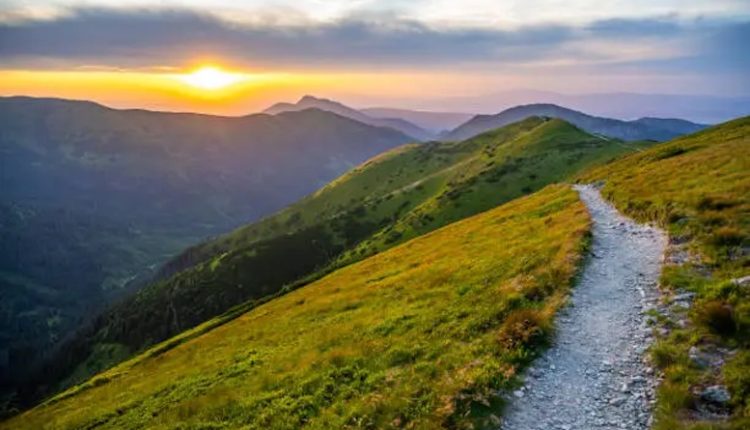 পাহাড়ের একটি ট্রেকিং পথ 1