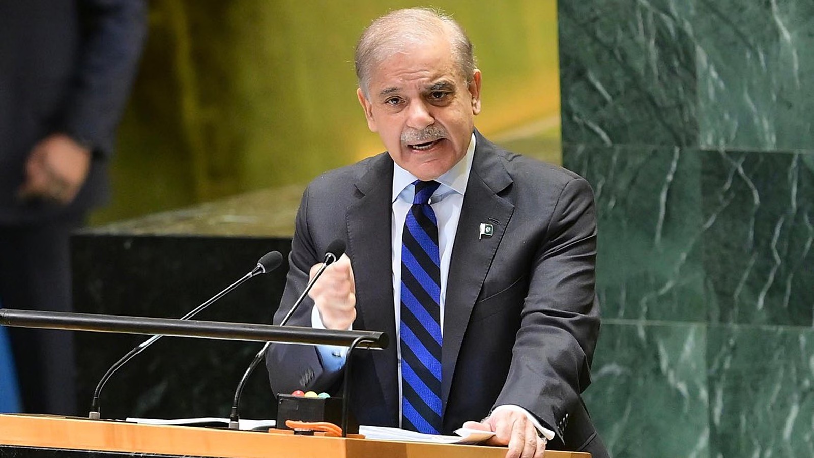 কাশ্মীর সমস্যা সমাধানের একমাত্র পথই হলো আলোচনা: শাহবাজ শরিফ 4