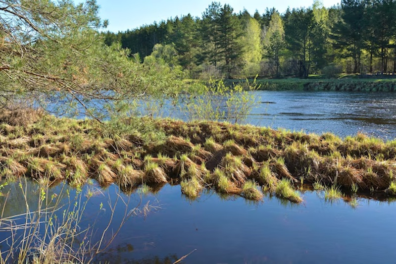 অসম্ভব সুন্দর এক প্রাকৃতিক দৃশ্য 40