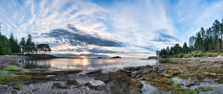 নদী বন আর মেঘের ঘনঘটা 1 নদী বন আর মেঘের ঘনঘটা 1