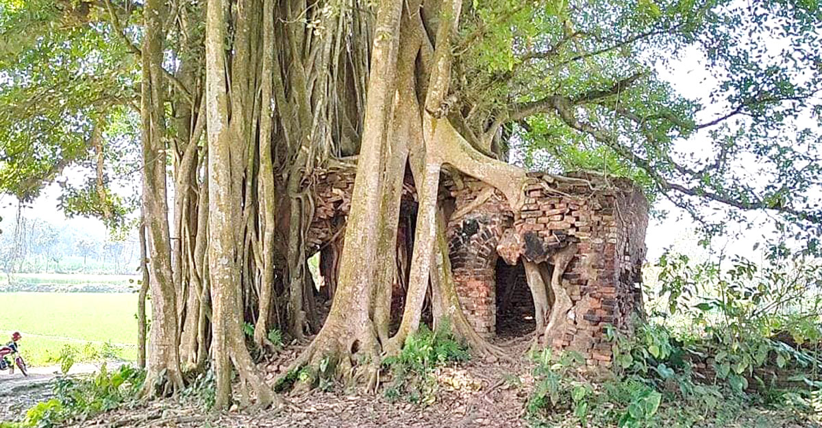 মেহেরপুরের ঐতিহাসিক মসজিদ করমদির গোসাইডুবি মসজিদ 4