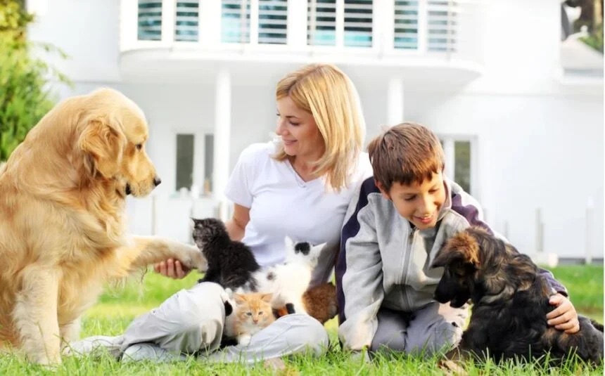 পোষ্যর অতিরিক্ত লোম ঝরছে: এমতাবস্থায় কী করবেন? 19