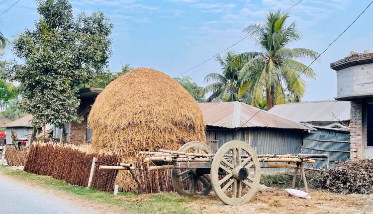 গরুর গাড়ি এক সময়ের গ্রাম-বাংলার ঐতিহ্য 1 গরুর গাড়ি এক সময়ের গ্রাম-বাংলার ঐতিহ্য 1