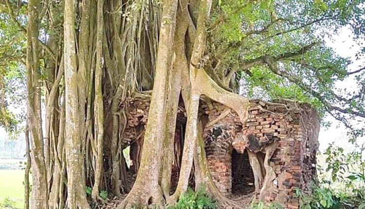 মেহেরপুরের ঐতিহাসিক নিদর্শন করমদির গোসাইডুবি মসজিদ 1 মেহেরপুরের ঐতিহাসিক নিদর্শন করমদির গোসাইডুবি মসজিদ 1