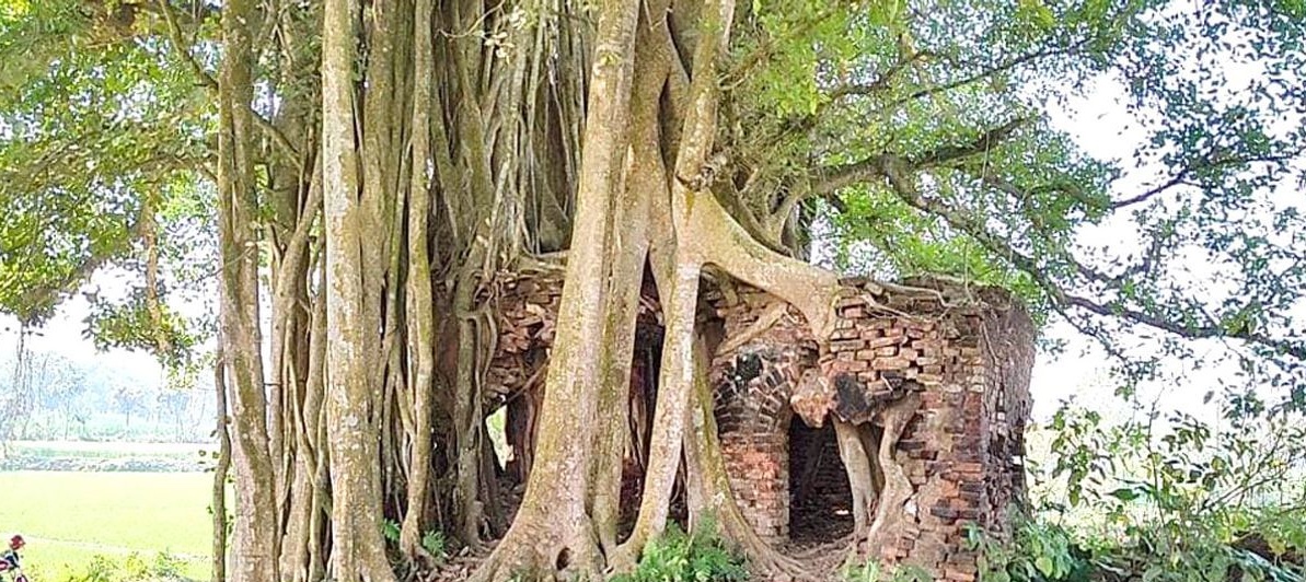 মেহেরপুরের ঐতিহাসিক নিদর্শন করমদির গোসাইডুবি মসজিদ 43
