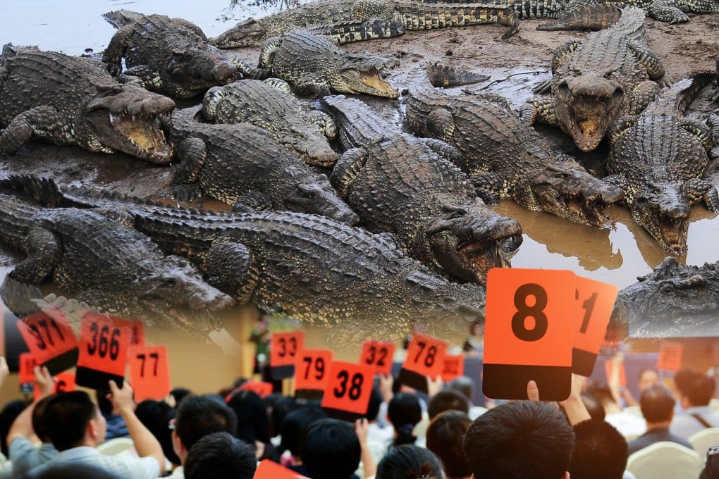 এবার নিলামে উঠলো ১০০ টন ওজনের জ্যান্ত কুমির! 28