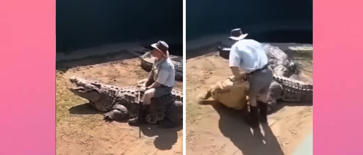 কুমিরের পিঠে বসে কেরামতি দেখাতে গিয়ে এক প্রৌঢ়কে কামড়! [ভিডিও] 25