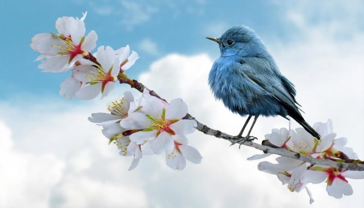 চিত্র শিল্পীর তুলিতে আঁকা ছবি? 1 চিত্র শিল্পীর তুলিতে আঁকা ছবি? 1