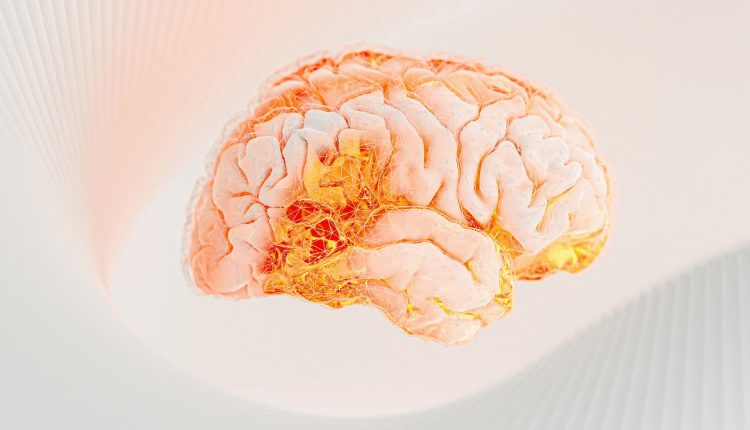 বিজ্ঞানীরা এবার মানুষের মস্তিষ্কের পূর্ণাঙ্গ মানচিত্র প্রকাশ করলো 1