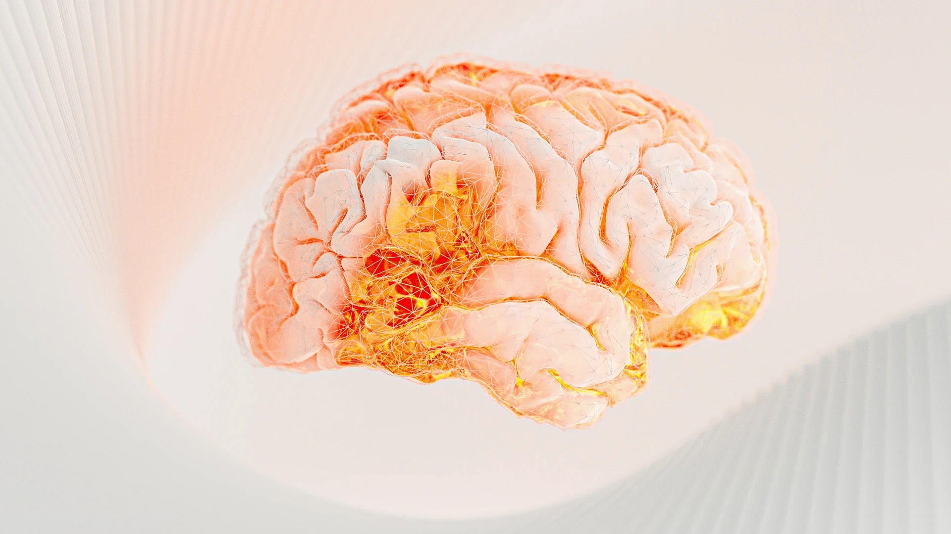 বিজ্ঞানীরা এবার মানুষের মস্তিষ্কের পূর্ণাঙ্গ মানচিত্র প্রকাশ করলো 1