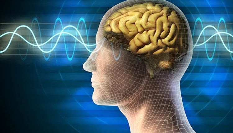 কত দ্রুত কাজ করে মানুষের মস্তিষ্ক? 1 কত দ্রুত কাজ করে মানুষের মস্তিষ্ক? 1