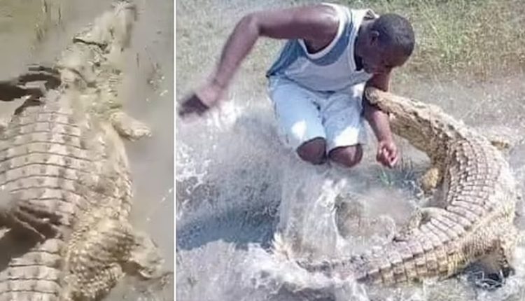 ১০ ফুটের কুমিরের লেজ ধরে টান দিয়ে উত্ত্যক্ত করার চেষ্টা: যুবককে ‘উচিত শিক্ষা’ দিলো কুমির! 32