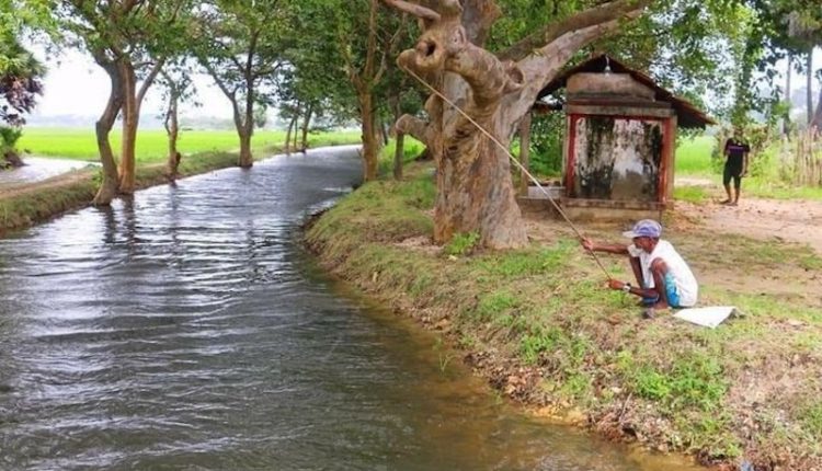 গ্রামের ক্যানেলে মাছ ধরার দৃশ্য 1