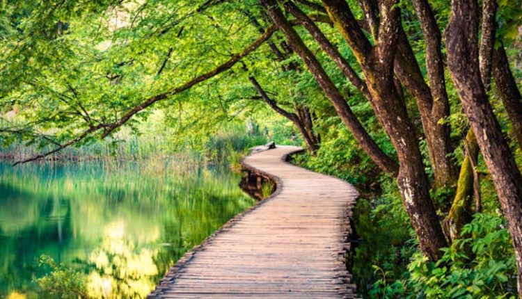 এক মনোমুগ্ধকর প্রাকৃতিক দৃশ্য 1