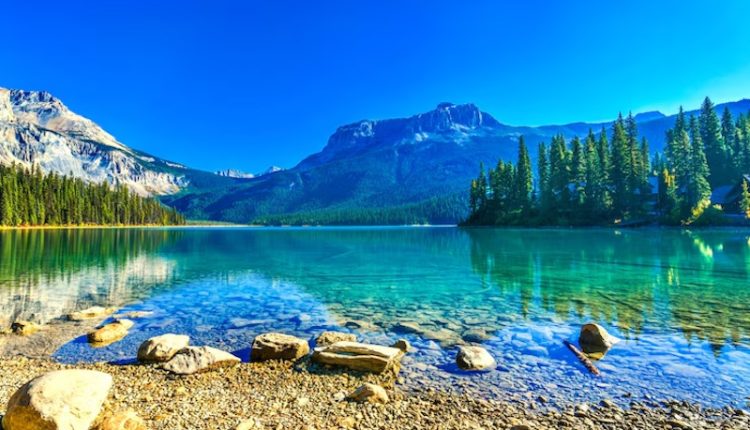 অভিভূত হওয়ার মতো প্রাকৃতিক দৃশ্য 8