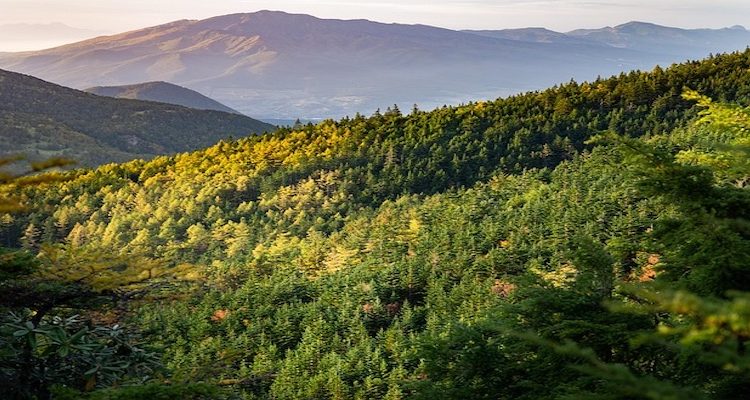 পাহাড়-পর্বত দেখতে কার না ভালো লাগে? 1 পাহাড়-পর্বত দেখতে কার না ভালো লাগে? 1