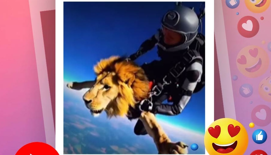 সিংহকে নিয়ে ‘স্কাইডাইভিং’ করছেন জনৈক তরুণ! 40