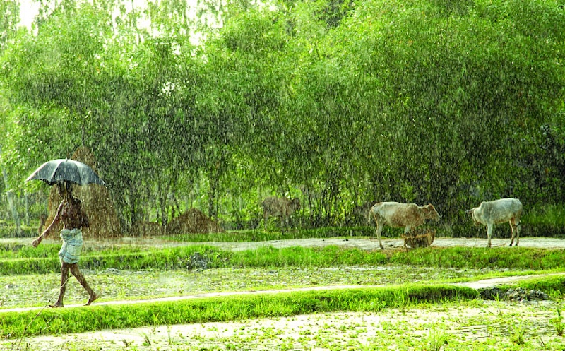 বর্ষাকালে গ্রামের দৃশ্য কেমন হয়? 19