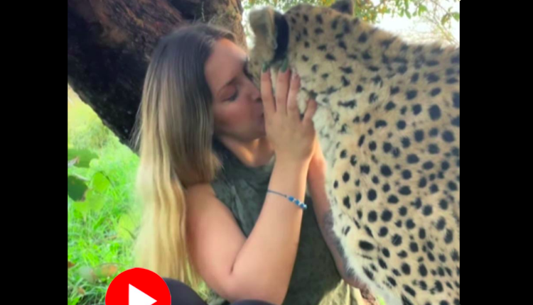 এক তরুণীর কাণ্ড: চুমু খাচ্ছেন চিতার নাকে! 1