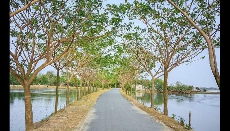 গ্রামের রাস্তা ও দুধারে পানি আর পানি 1 গ্রামের রাস্তা ও দুধারে পানি আর পানি 1