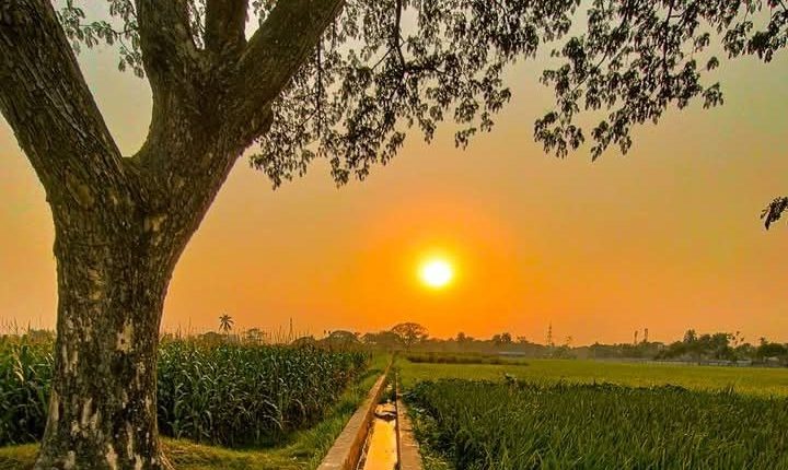 গ্রামের সকাল 8