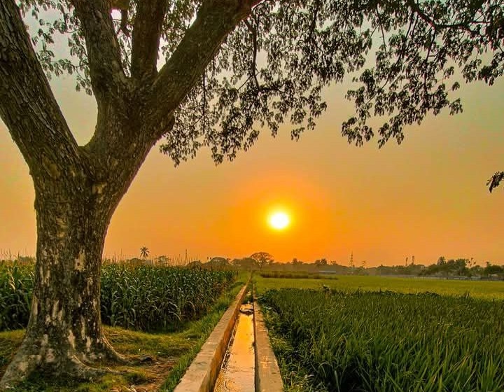 গ্রামের সকাল 7