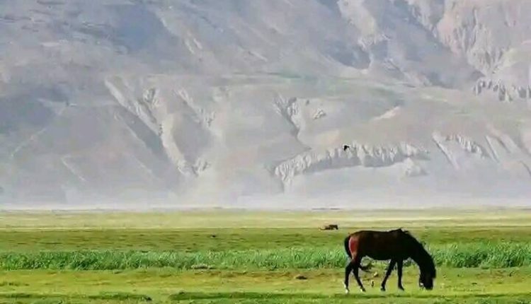 আফগানিস্তানের বাদাখশান প্রদেশের ওয়াখান করিডোর 1