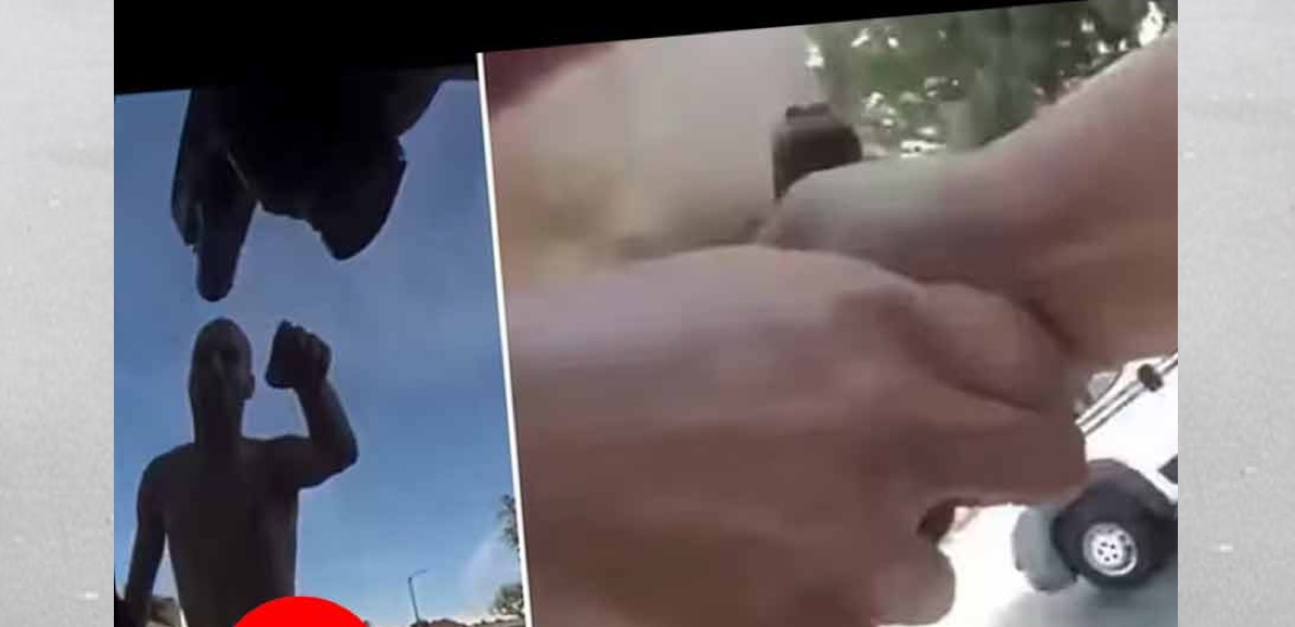 পুলিশের বন্দুক কেড়ে তার দিকেই তাক করলেন যুবক! 10