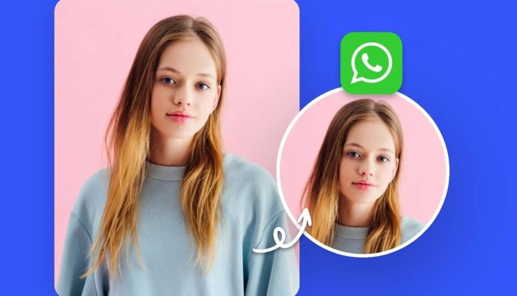 হোয়াটসঅ্যাপে ছবি পাঠিয়ে তথ্য চুরি হতে নিরাপদে থাকবেন যেভাবে 29