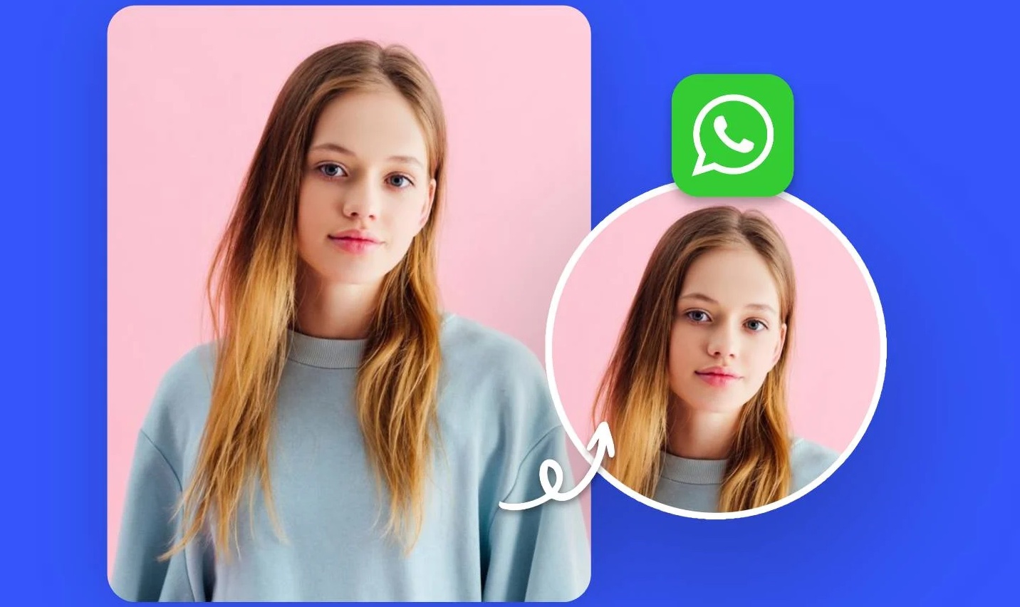 হোয়াটসঅ্যাপে ছবি পাঠিয়ে তথ্য চুরি হতে নিরাপদে থাকবেন যেভাবে 28