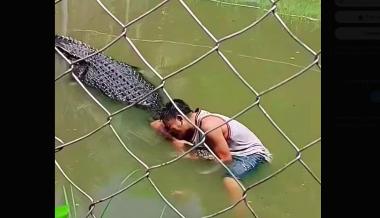 ১৫ ফুটের জ্যান্ত কুমিরকে মূর্তি ভেবে সেলফি তোলার চেষ্টা! তারপর কী ঘটলো? 1 ১৫ ফুটের জ্যান্ত কুমিরকে মূর্তি ভেবে সেলফি তোলার চেষ্টা! তারপর কী ঘটলো? 1